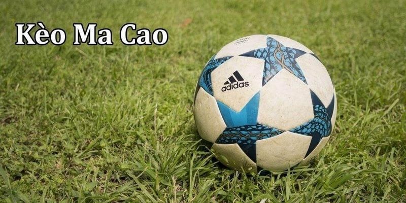 Kèo Macao - Hướng Dẫn Trải Nghiệm Từ Cao Thủ Vin777