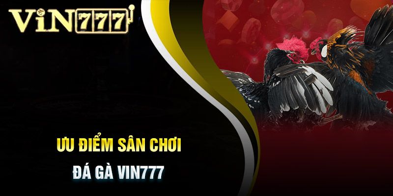 Nhận xét ưu điểm của đá gà Vin777