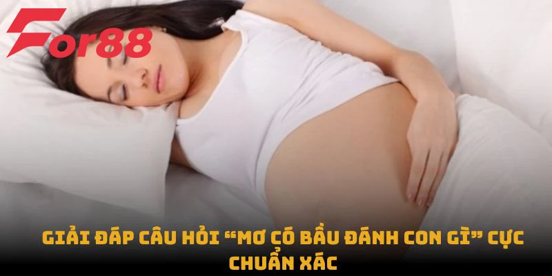 Giải đáp câu hỏi “Mơ có bầu đánh con gì” cực chuẩn xác